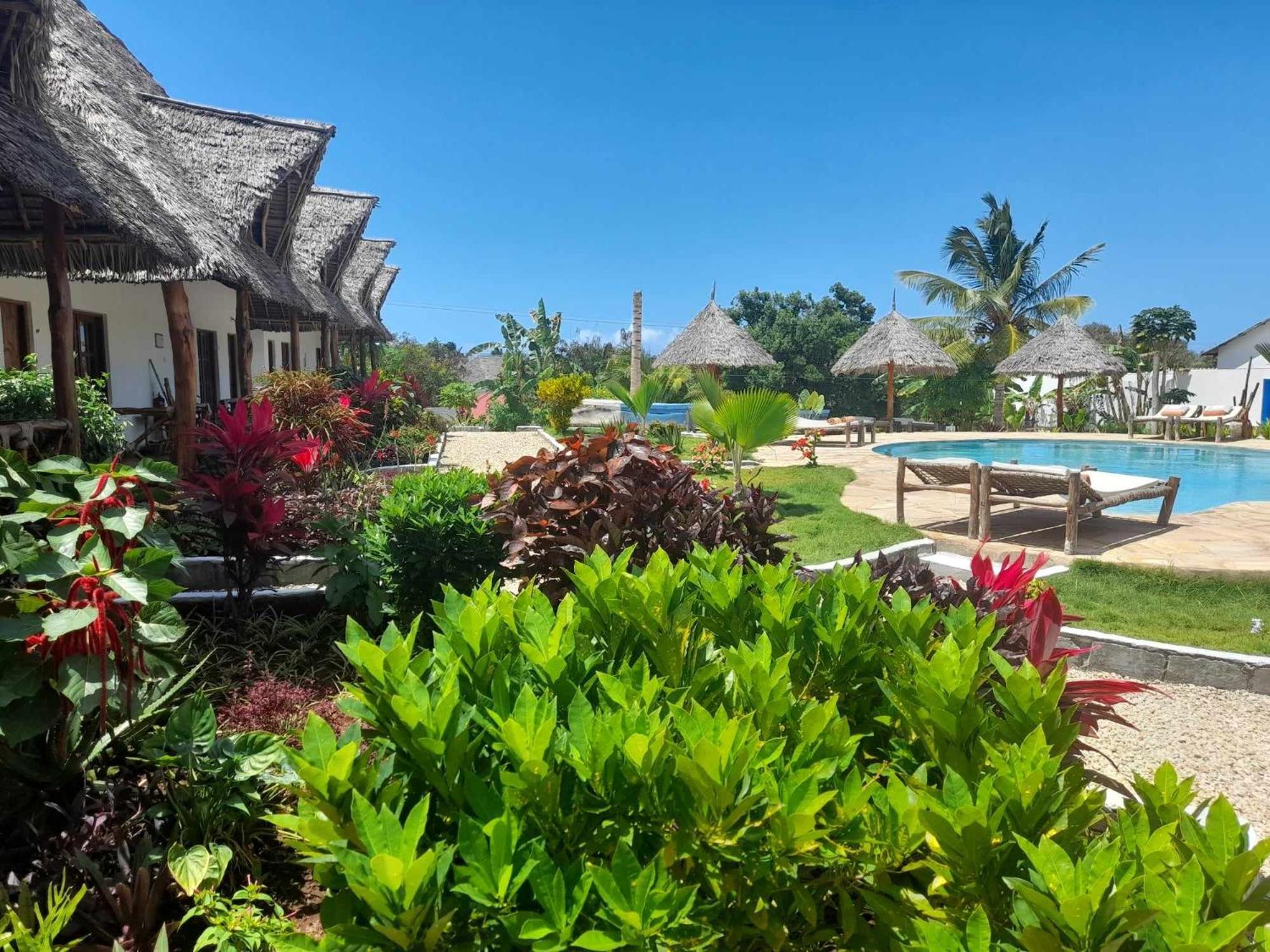 Hotel Africa Dream Bungalow Kiwengwa Kiwengwa  Zewnętrze zdjęcie