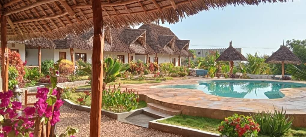 Hotel Africa Dream Bungalow Kiwengwa Kiwengwa  Zewnętrze zdjęcie